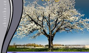 جلسات درس عکاسی دیجیتال